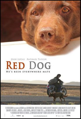 Рыжий пёс