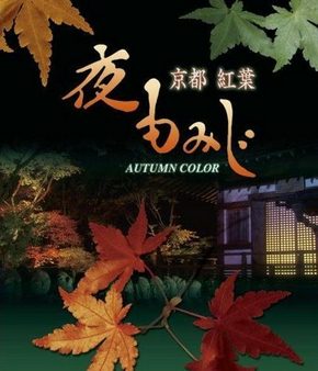 Осенний цвет Киото