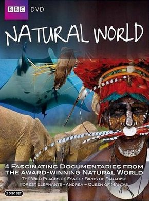 BBC- Мир природы. Королева морских дьяволов | Документальные